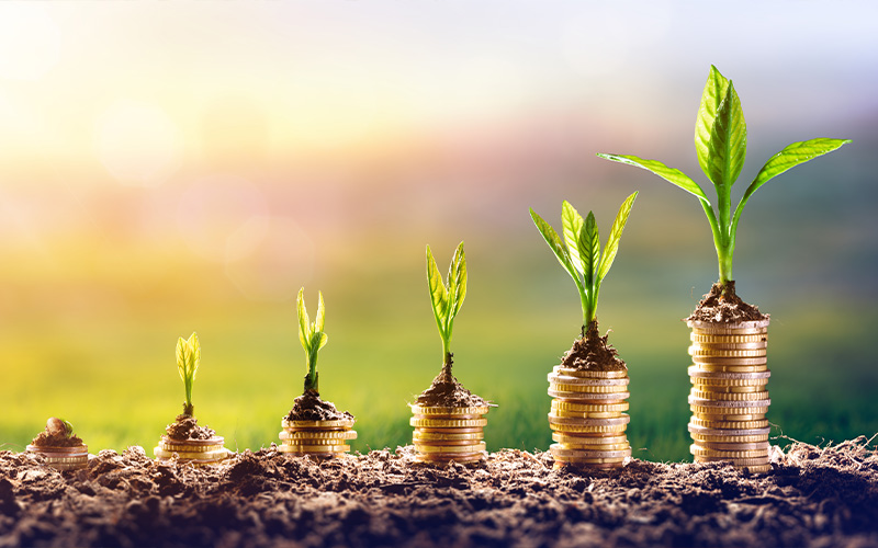 plants growing out of coins core principles